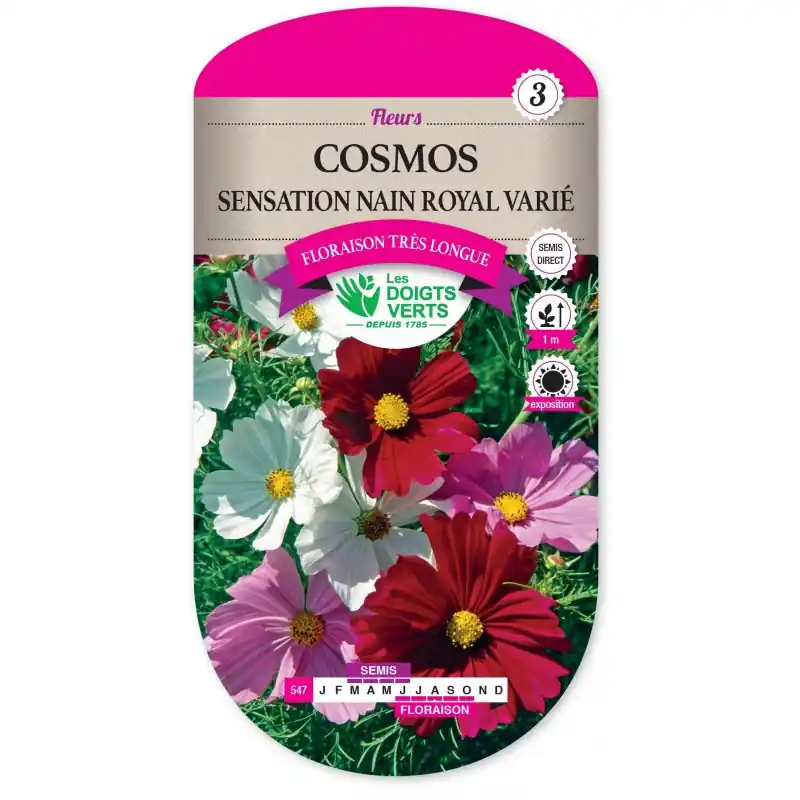Prix Bas COSMOS SENSATION NAIN ROYAL VARIÉ - CATÉGORIE 3 - LES DOIGTS VERTS