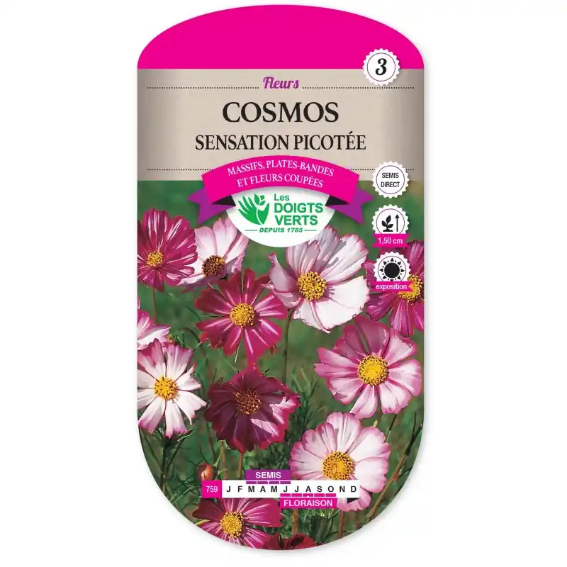 Solde COSMOS SENSATION PICOTÉE - CATÉGORIE 3 - LES DOIGTS VERTS