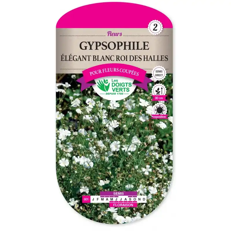 Retour Gratuit GYPSOPHILE ÉLÉGANT BLANC ROI DES HALLES - CATÉGORIE 2 - LES DOIGTS VERTS