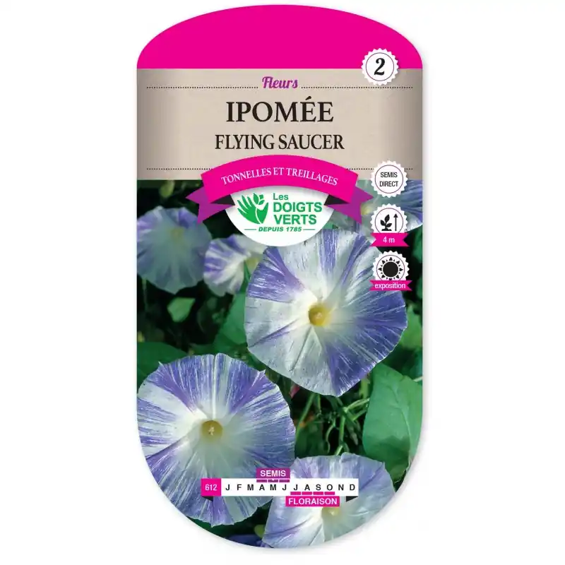 IPOMÉE FLYING SAUCER - CATÉGORIE 2 - LES DOIGTS VERTS Top Vente