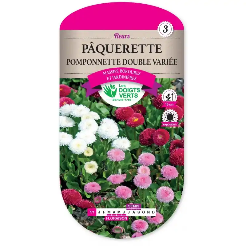 PÂQUERETTE POMPONNETTE DOUBLE VARIÉE - CATÉGORIE 3 - LES DOIGTS VERTS Prix Bas