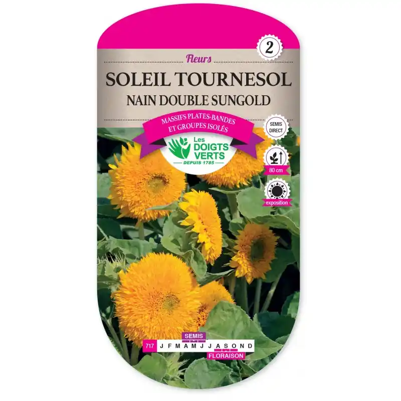 SOLEIL TOURNESOL NAIN DOUBLE SUNGOLD - CATÉGORIE 2 - LES DOIGTS VERTS Soldes