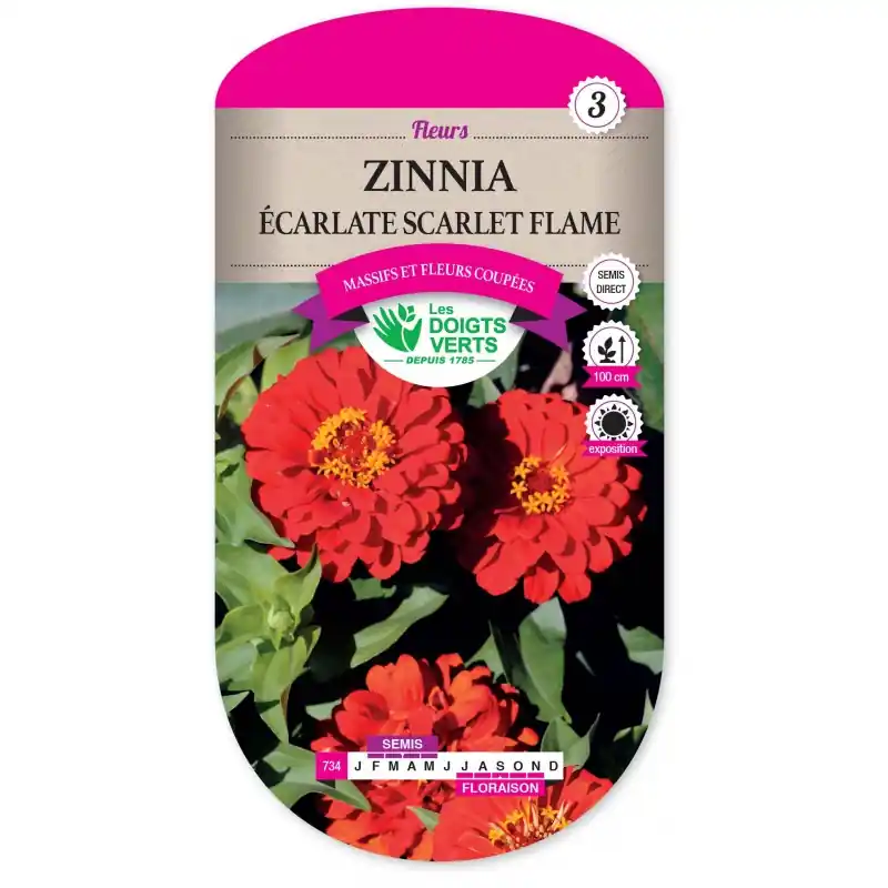 ZINNIA ÉCARLATE SCARLET FLAME – CATÉGORIE 3 – LES DOIGTS VERTS Vente Flash