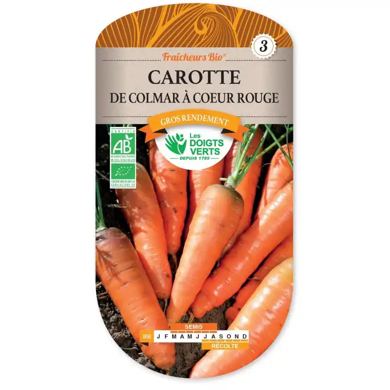CAROTTE DE COLMAR A COEUR ROUGE BIO - CATÉGORIE 3 - LES DOIGTS VERTS Meilleure Vente