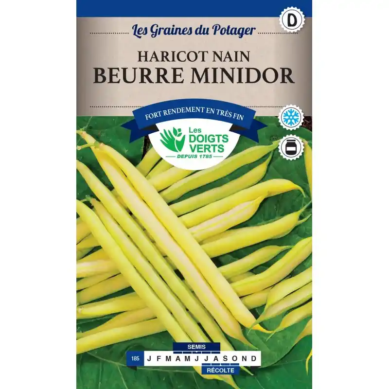 Achetez Aujourd&rsquo;hui HARICOT NAIN BEURRE MINIDOR – CATÉGORIE D – LES DOIGTS VERTS