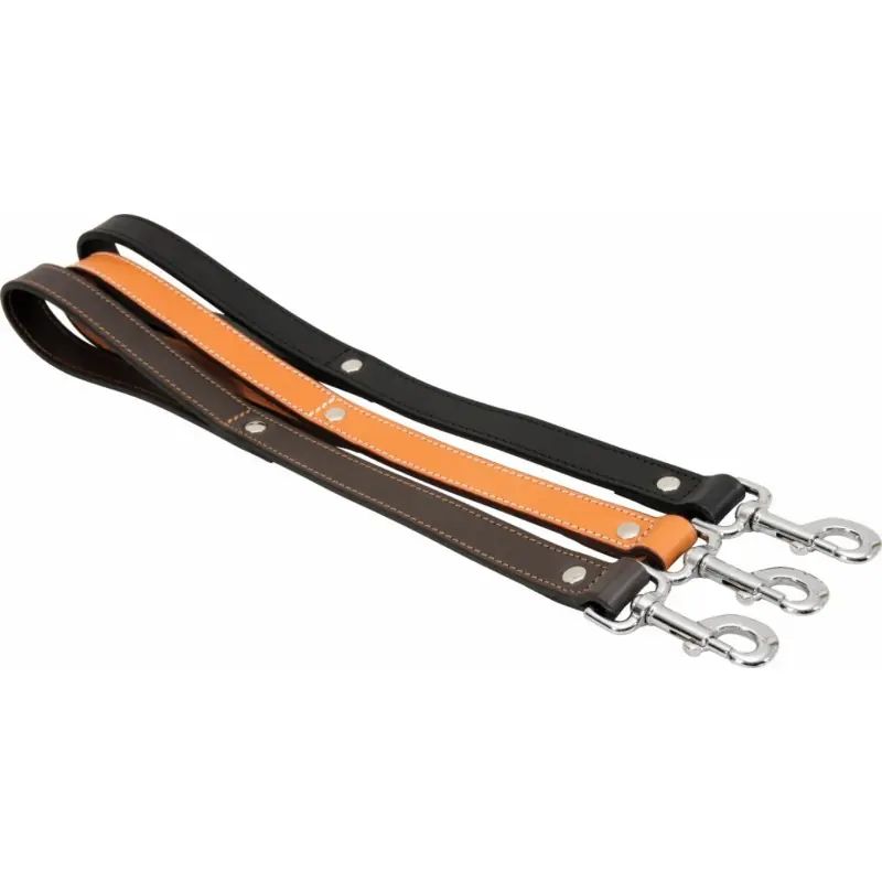 LAISSE CUIR DBLE 0.5M/25MM Bon Plan